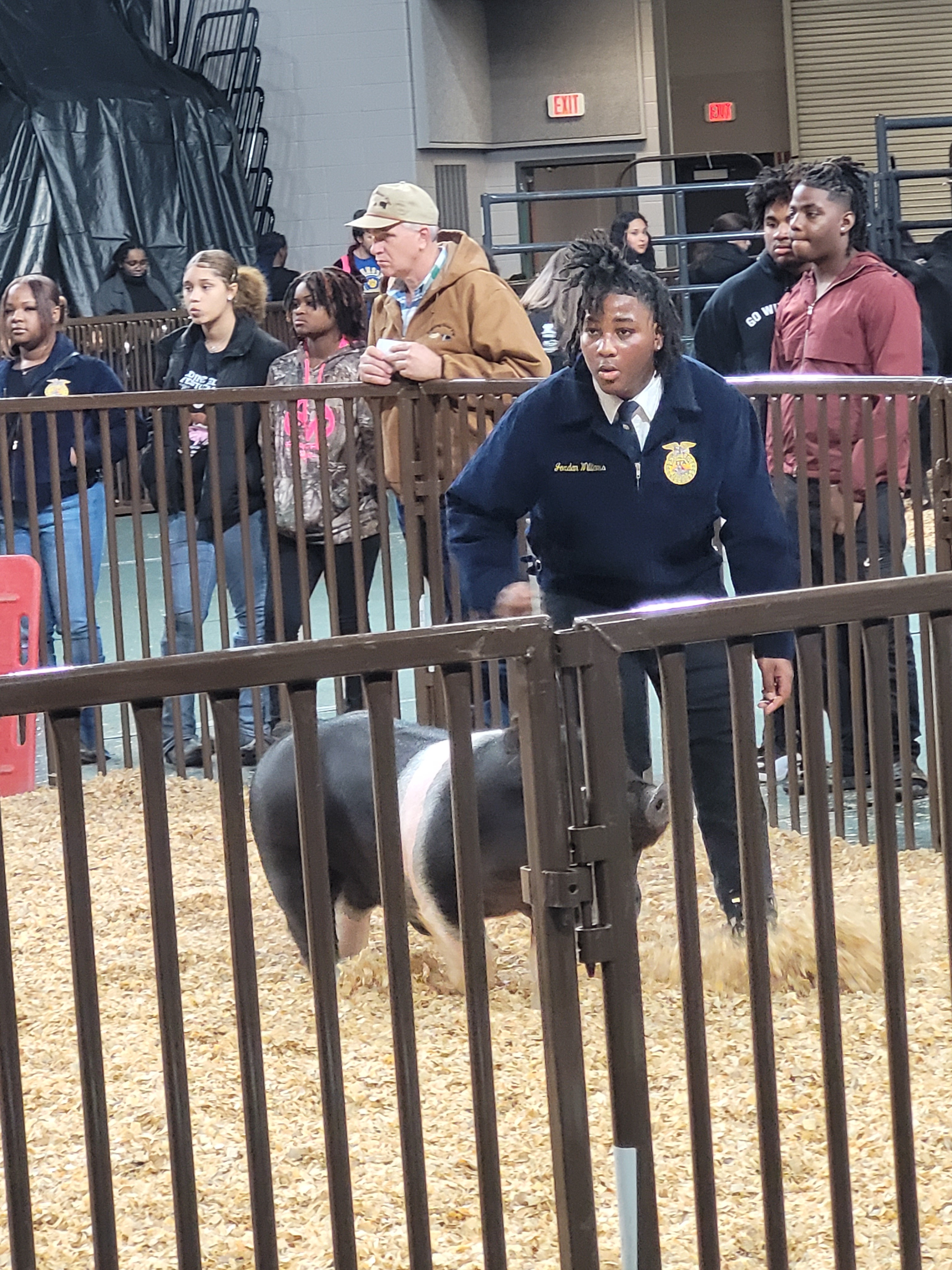 Livestock-Show-Jordan-2