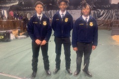 Livestock-Show-2