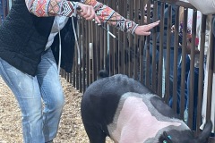 Thib-Showmanship