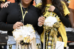 HoCo7